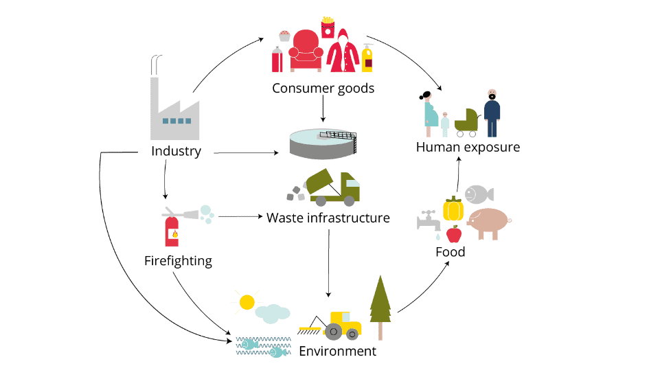 PFAS Exposure Pathways