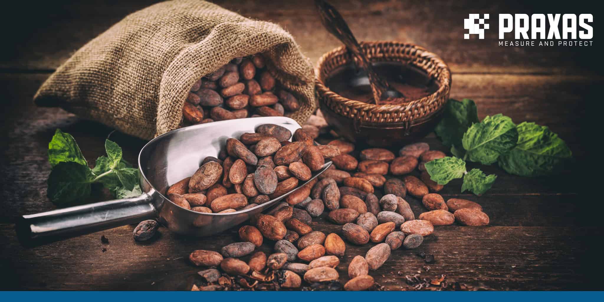 Praxas News - Cocoa transport